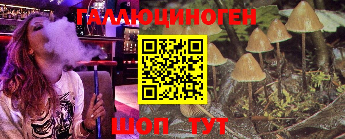 Богородицк  сколько стоит  Вход с VPN  Псилоцибиновые грибы мухоморы 