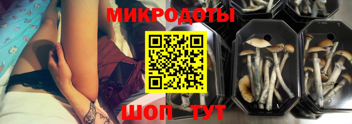 Галлюциногенные грибы MAGIC MUSHROOMS Богородицк